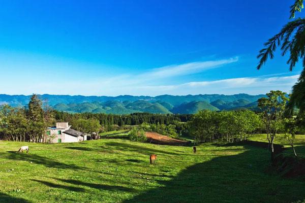 2022武隆仙女山门票多少钱一张 附游玩项目门票价格