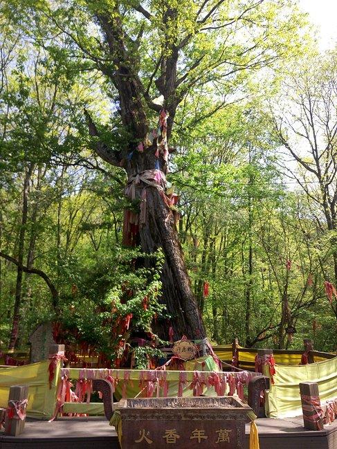 神农架有什么好玩的地方 神农架有野人吗