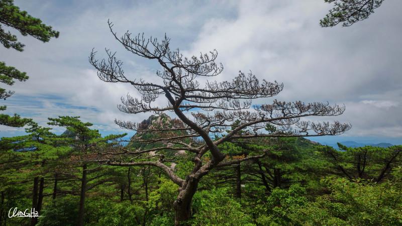 黄山有哪些著名景点 黄山旅游攻略2017