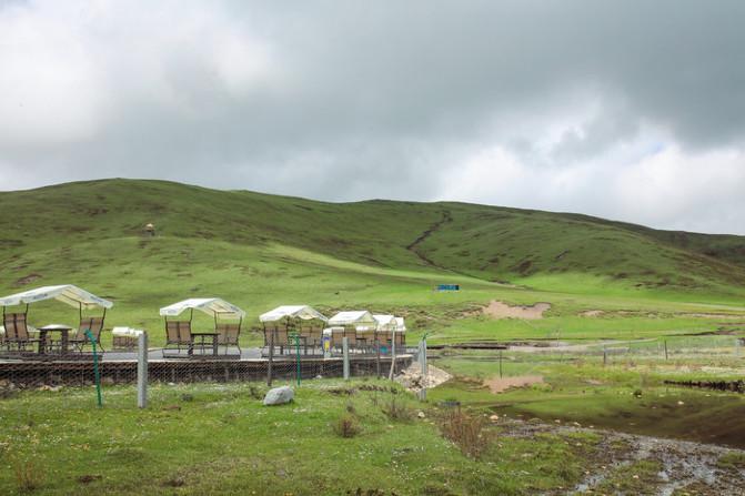 四川红原大草原自由行攻略 红原大草原花期是什么时候