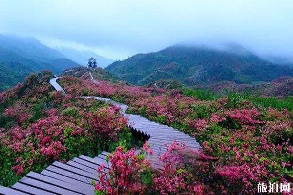 攀枝花龙头山在哪里