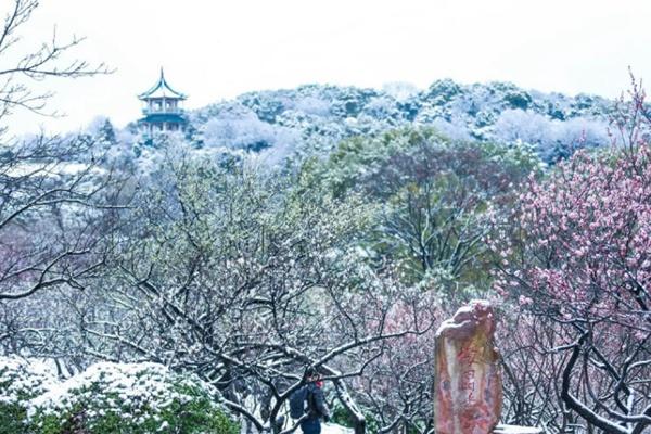 苏州冬季旅游好去处