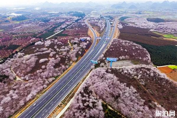 红枫湖大桥的修建时间 在哪里