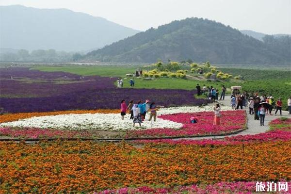 七孔桥花海介绍 什么时候去游玩最好