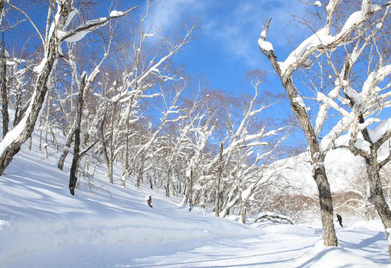 纯野雪的雪场怎么滑