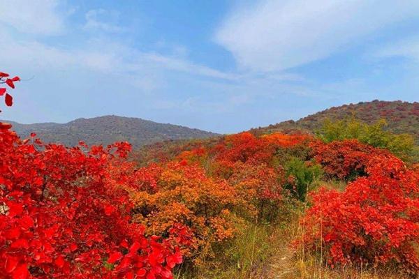 2022荆紫仙山红叶节活动攻略(时间+门票)