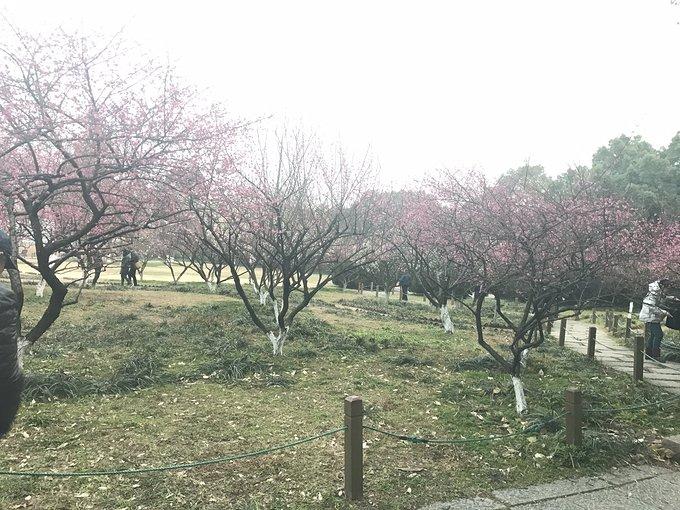 杭州有哪些旅游景点