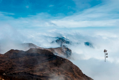 轿顶山景区怎么样  轿顶山景区游记