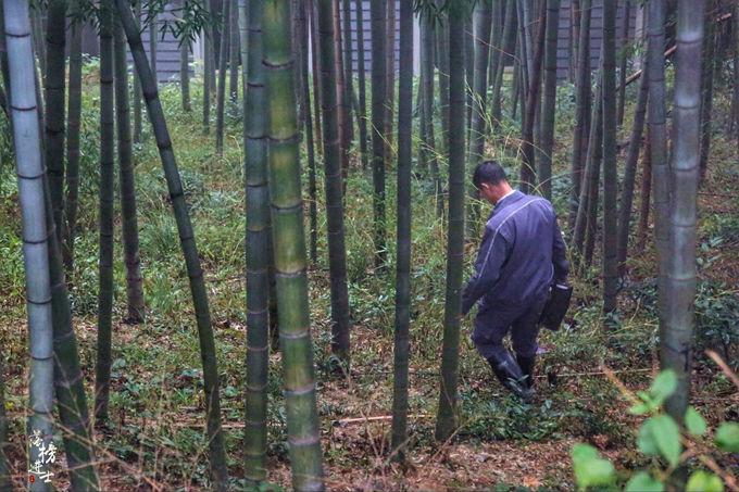 莫干山有什么好玩的 莫干山有哪些旅游景点