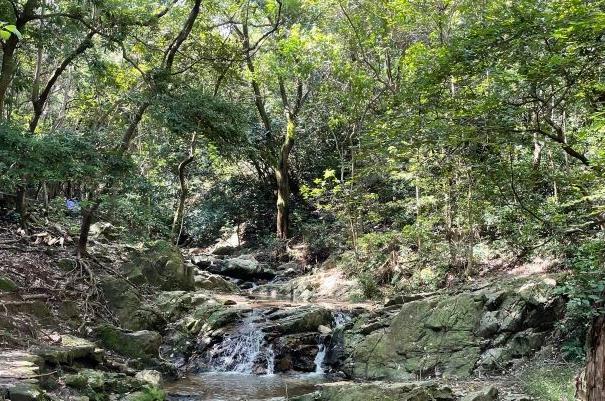 深圳凤凰山徒步路线怎么走