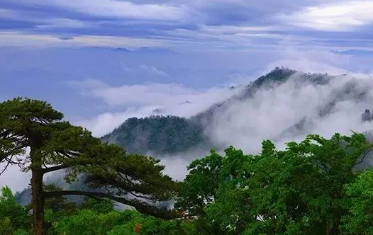 天目山在哪儿  天目山旅游攻略