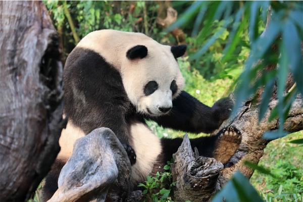 深圳最值得去的地方有哪些