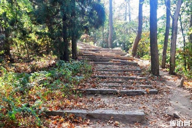 鸡公山游玩攻略 鸡公山风景区旅游攻略详细版