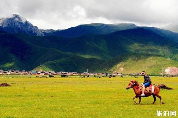 香格里拉到纳帕海依拉草原多远 包车-骑车多少钱