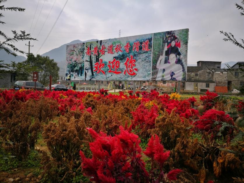 黄南古道在哪里 黄南古道离海边近吗