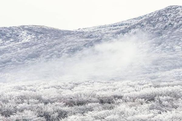 重庆看雪景的最佳地点 重庆哪里可以看雪景