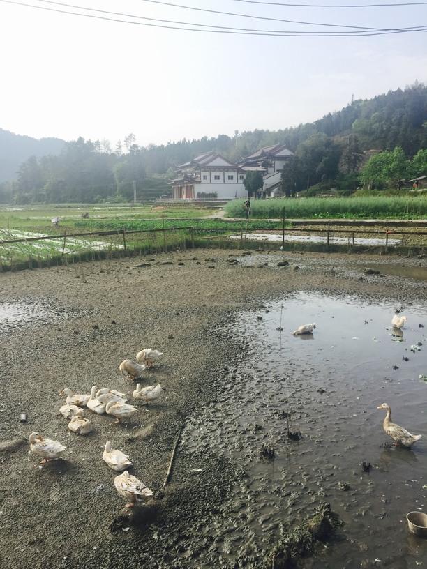 瑞安有什么好玩的地方 瑞安有那些好玩的地方