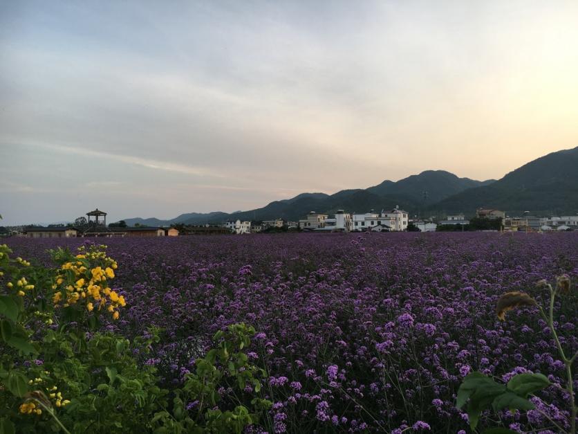 蕉岭县在哪里