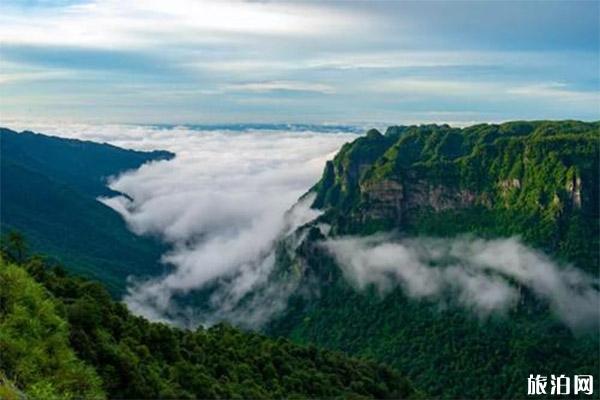 南宁大明山可以可以开车上去吗 可以带宠物吗