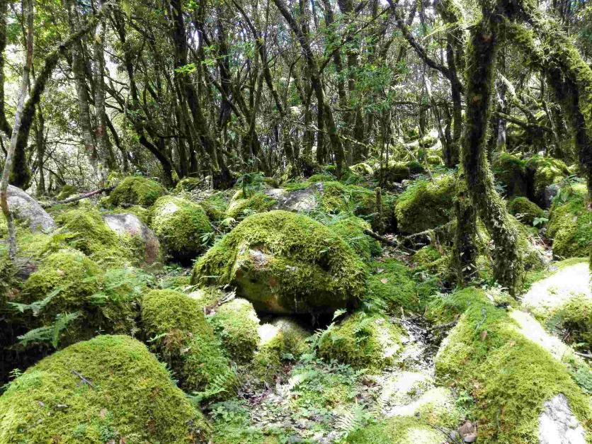 冕宁灵山寺在哪里 冕宁灵山寺好玩吗 冕宁灵山寺门票多少钱