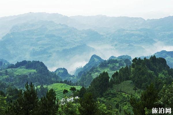 重庆圣灯山森林公园介绍 圣灯山门票价格-游玩攻略