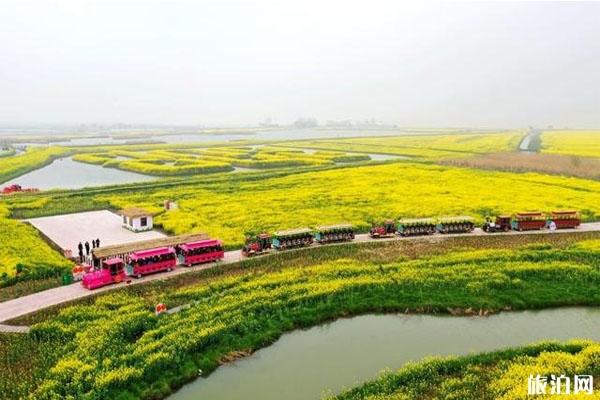 高邮湖湖上花海在哪里 收门票吗