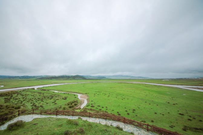 四川红原大草原自由行攻略 红原大草原花期是什么时候