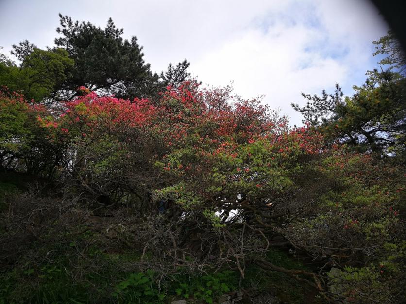 龟峰山风景区好玩吗 龟峰山旅游攻略