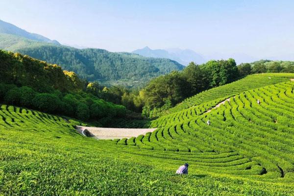 遂昌有什么好玩的景点 南尖岩景区介绍