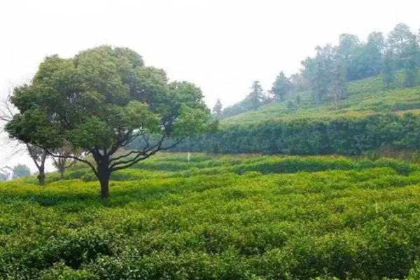 苏州登山去哪里最好 苏州爬山好去处