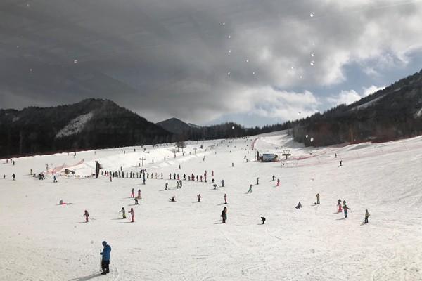 湖北哪里滑雪场比较好 神农架实至名归其它地方也不差