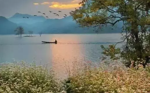 浦江通济湖好玩吗 浦江通济湖哪里拍照好