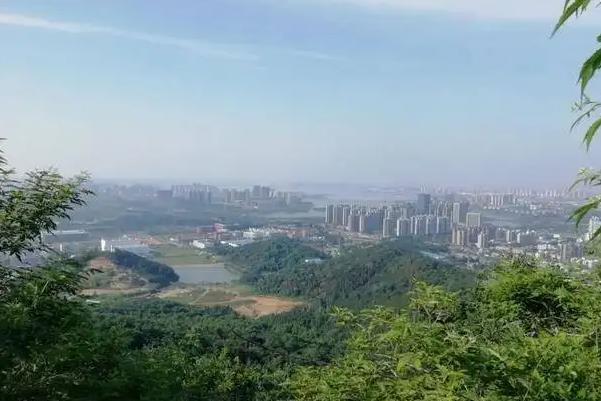 武汉八分山要爬多久 可以开车上去吗