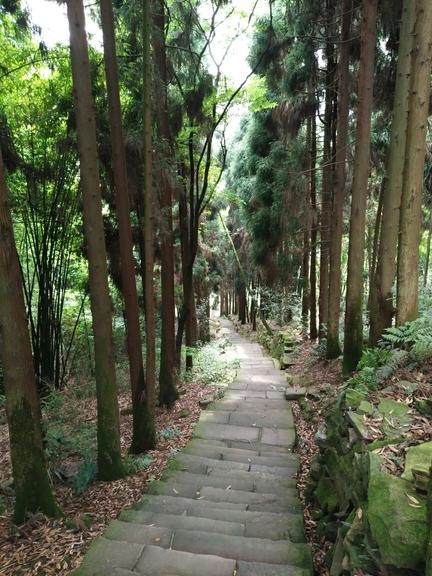 峨眉山有哪些景点 峨眉山有哪些寺庙