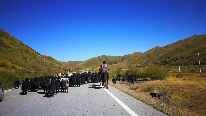 四川阿坝州旅游攻略