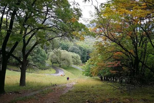 哈尔滨周边登山哪里好 十大登山好去处