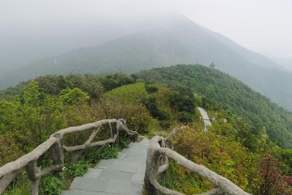 深圳自驾一日游必去的地方