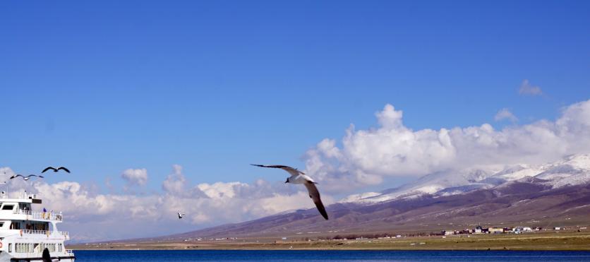 青海湖有什么景点 青海湖需要门票吗