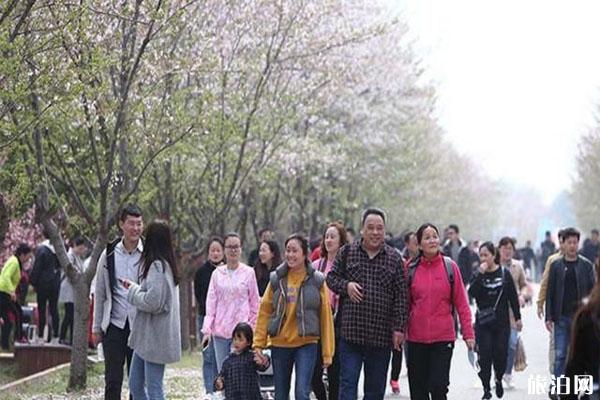 浮山樱花园怎么样 门票多少-停车费