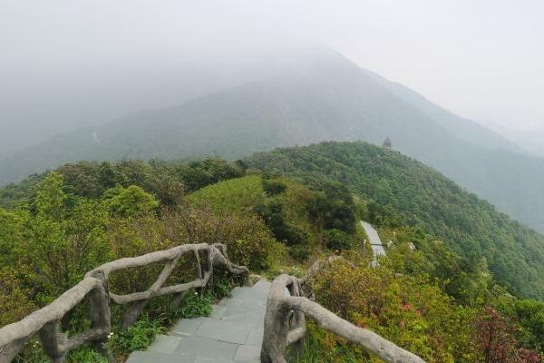 梧桐山徒步登山路线攻略