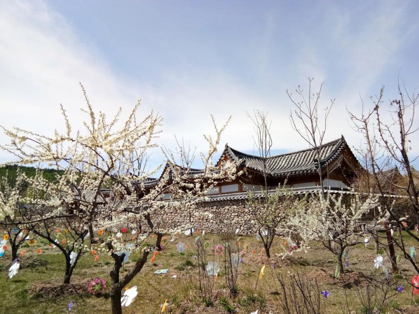 延边一日游去哪玩比较好