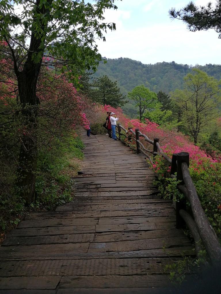 龟峰山风景区好玩吗 龟峰山旅游攻略