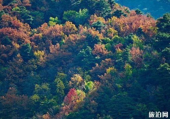 河北秋山风景区简介 秋山风景区游玩指南