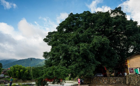 厦门旅游攻略  厦门旅游景点有哪些