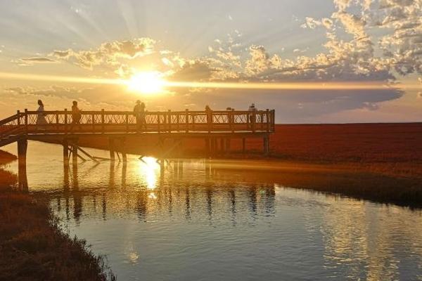 沈阳盘锦红海滩一日游攻略