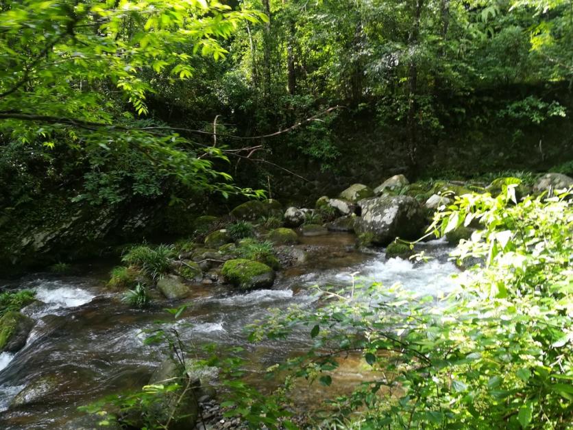 井冈山风景名胜区最好玩的地方