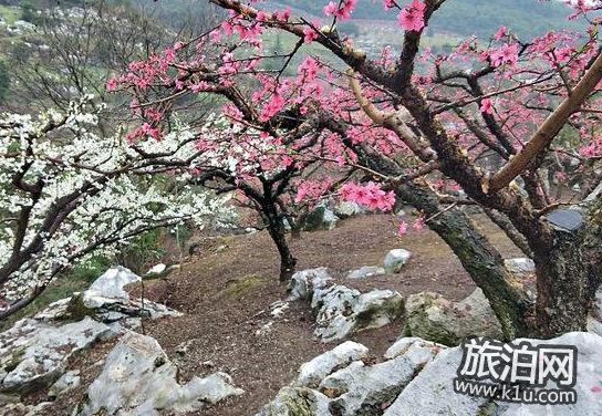 桃花山好玩吗 桃花山游记