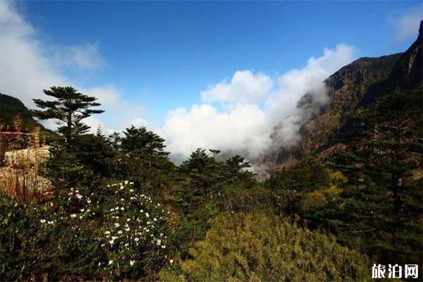 昆明轿子雪山介绍 轿子雪山地址-交通指南