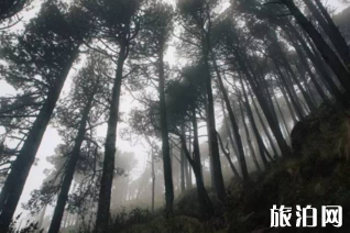 人为什么喜欢登山呢