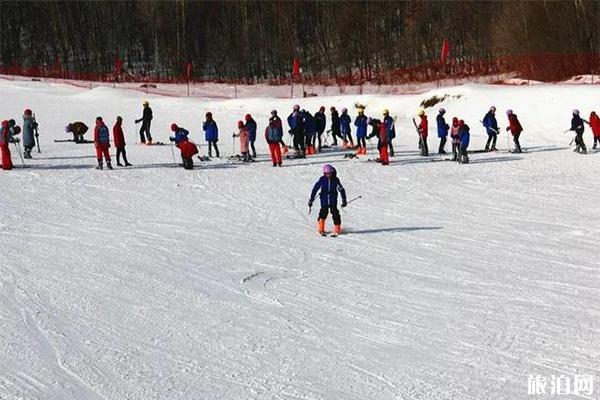 森工双鸭山林区青山滑雪场怎么走 电话号码多少